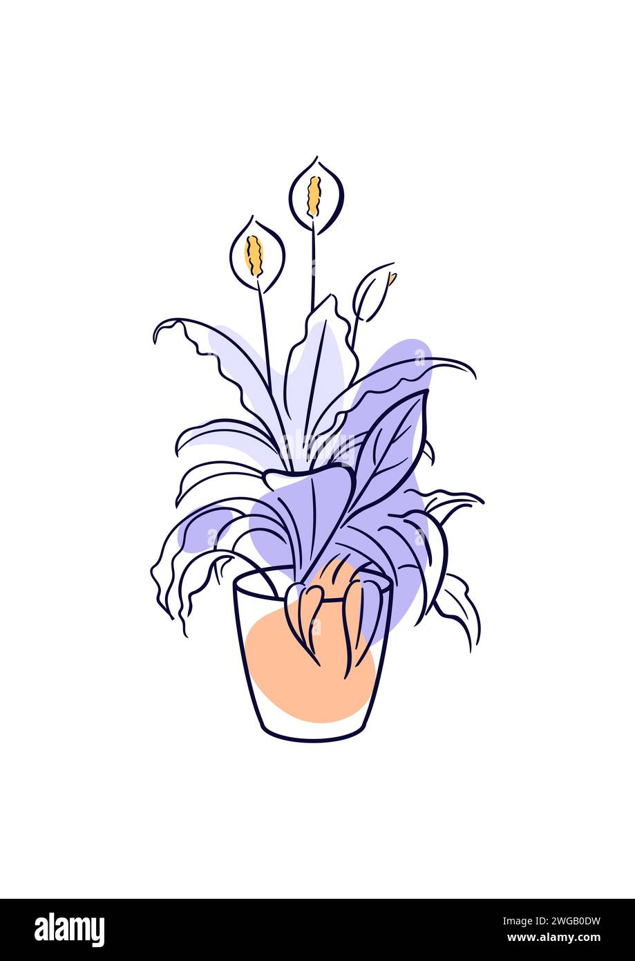 Spathiphyllum, Araceae. Exotische Pflanze im Topf. Häusliche Blumenzucht, Hauspflanzen, Hobby. Botanische Vektorillustration in handgezeichnetem Skizzenstil. Outli Stock Vektor