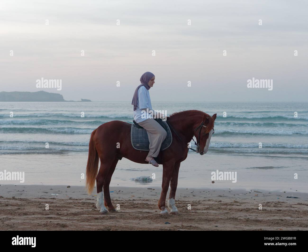 Weibliche einheimische Reiterin an einem Sandstrand bei Sonnenuntergang in Essaouira, Marokko, 3. Februar 2024 Stockfoto