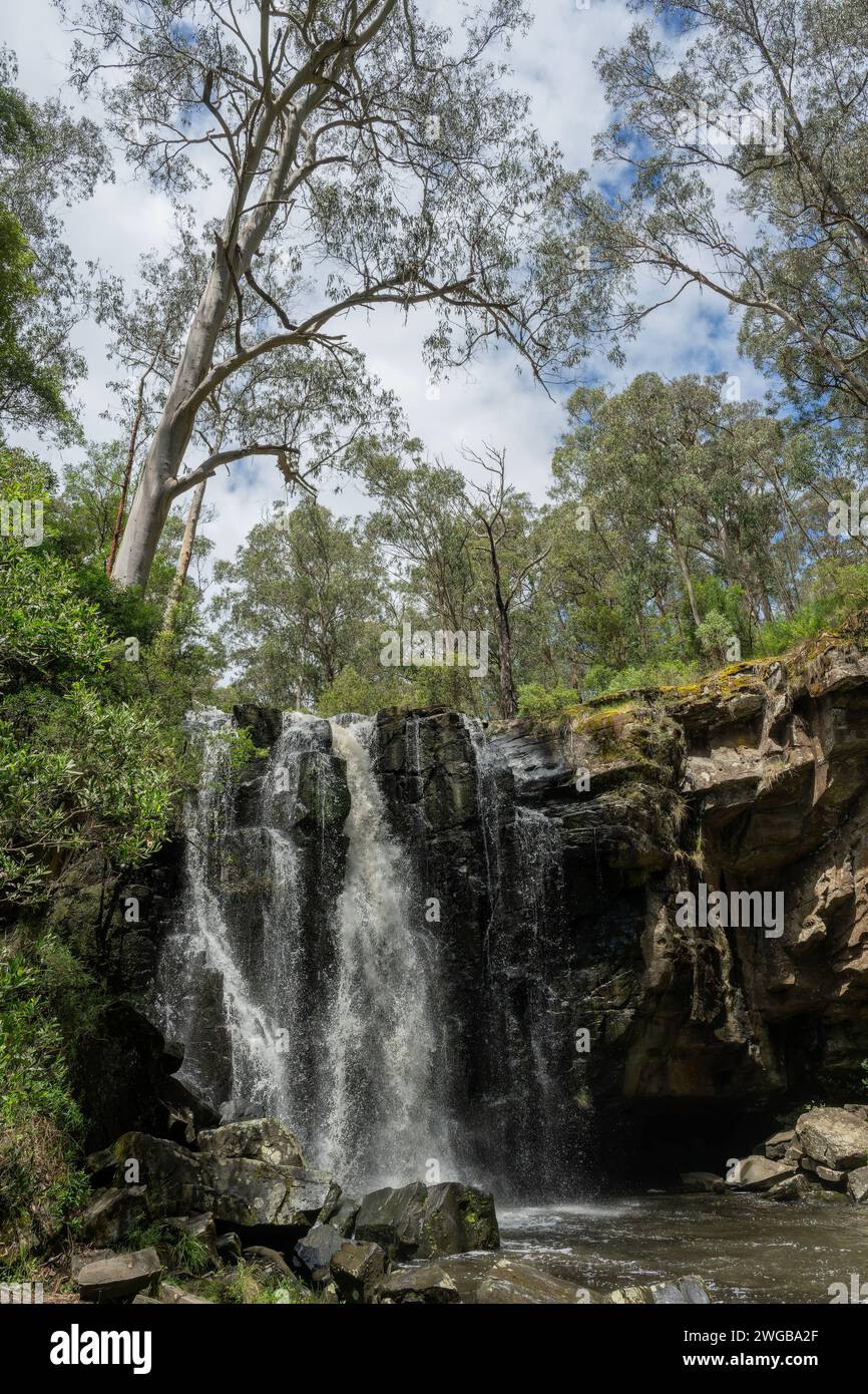 Phantom Falls, am St George River, Great Otway National Park, Lorne, Victoria, Australien. Stockfoto