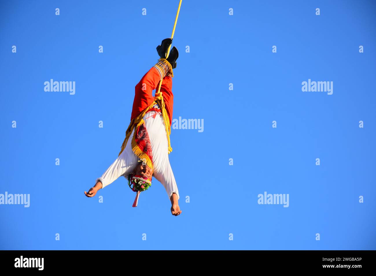 LEON, MEXIKO - 3. FEBRUAR. Voladores de Papantla - Papantla Flyers - Durchführung eines antiken Totonaca-Ritual von 600 v. Chr. an Göttern, um ein langes Leben, Wohlbefinden und Wohlstand zu erhalten, von El Tajin, Papantla, Veracruz, Mexiko während der Feria de Leon am Heritage Plaza am 3. Februar 2024 in Leon, Mexiko. (Quelle: JVMODEL/Alamy Live News Stockfoto