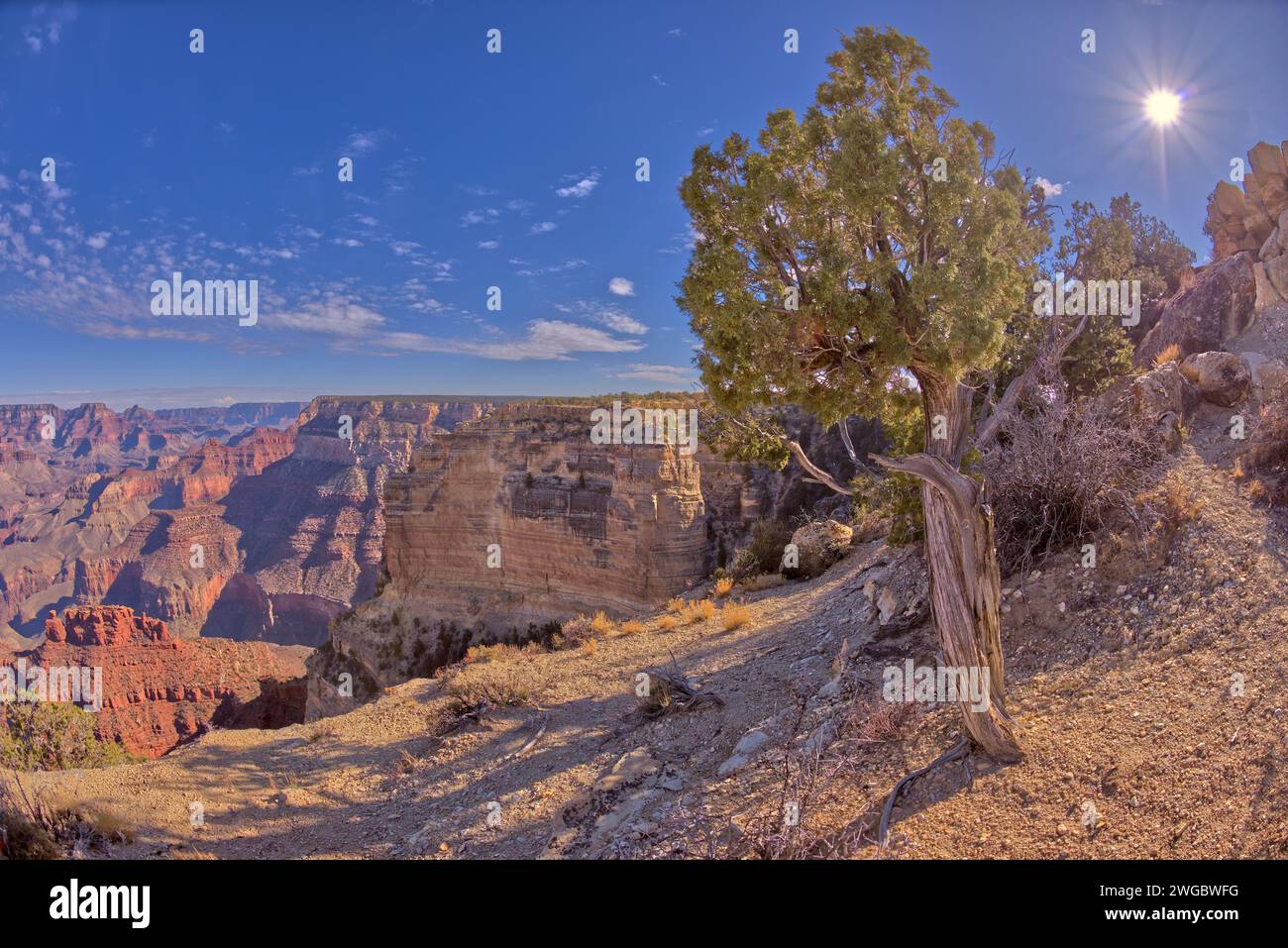 Blick auf den Grand Canyon von Powell Point, Grand Canyon National Park, Arizona, USA Stockfoto