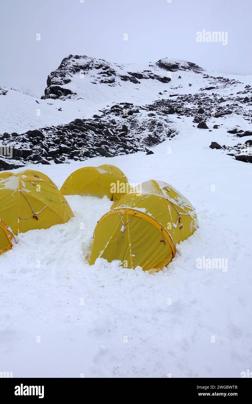 Gelbe Zelte in einem Berglager im indischen Himalaya, Indien Stockfoto