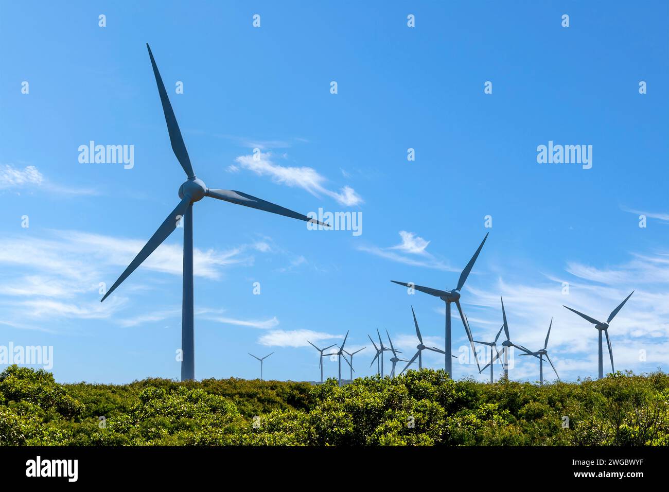 Windturbinen auf einem Küstenwindpark in Albany, Western Australia, Australien Stockfoto