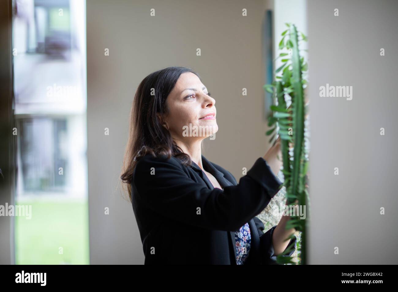 Lächelnde Frau, die sich um eine Zimmerpflanze in ihrer Wohnung kümmert Stockfoto
