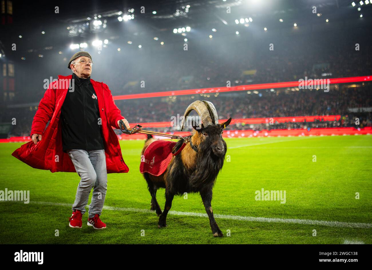 Köln, Deutschland. Februar 2024. Geißbock Hennes und Ingo Reipka 1. FC Köln - Eintracht Frankfurt 03.02.2024 Copyright (nur für journalistische ZW Stockfoto