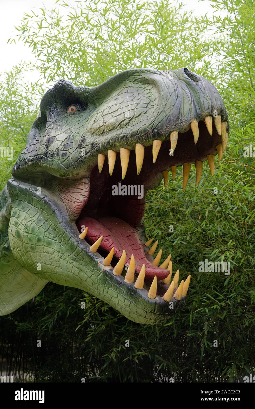 Dinosaurier in Harz. Triceratops, Tyrannosaure, T-rex Stockfoto