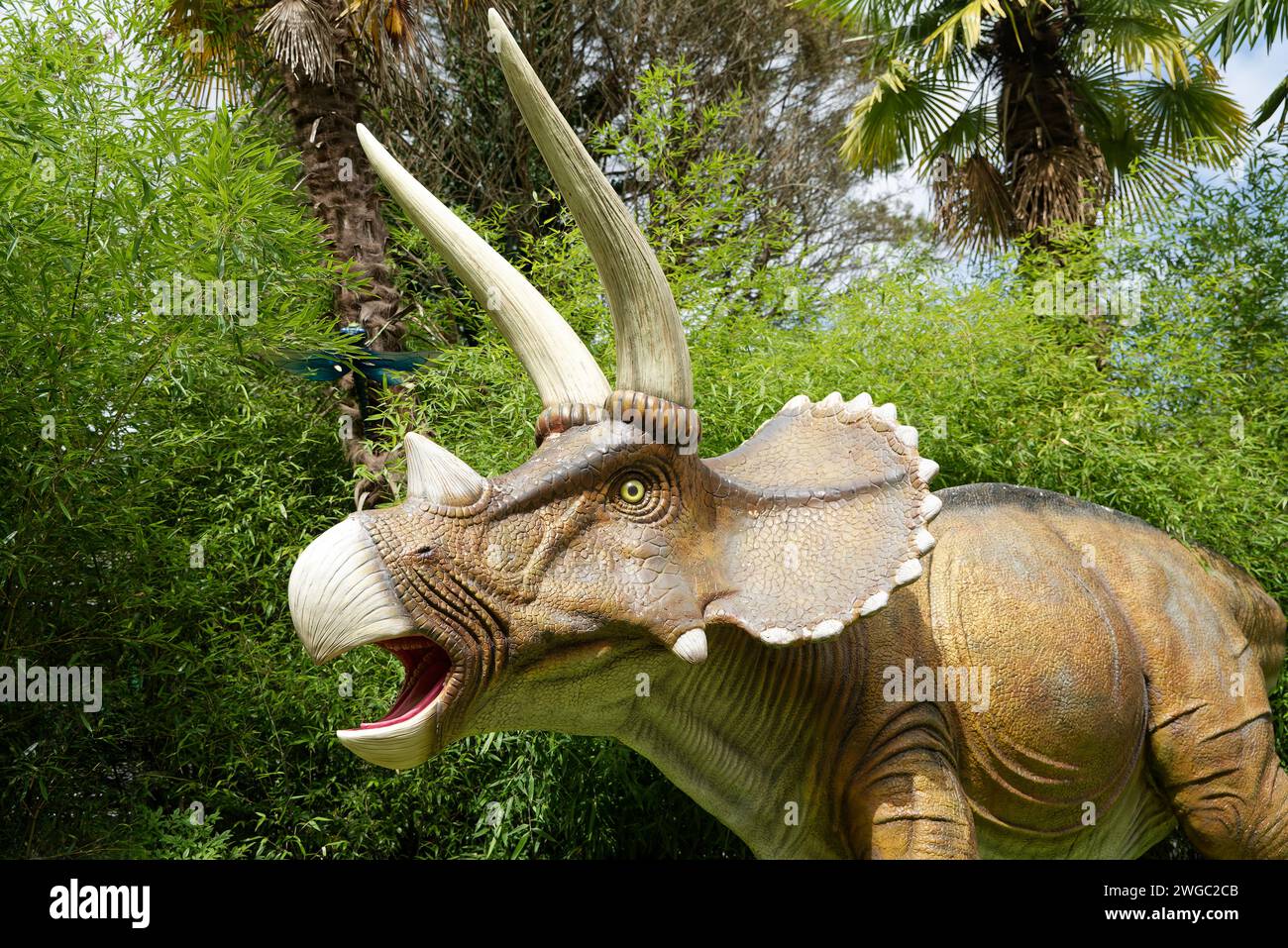 Dinosaurier in Harz. Triceratops, Tyrannosaure, T-rex Stockfoto