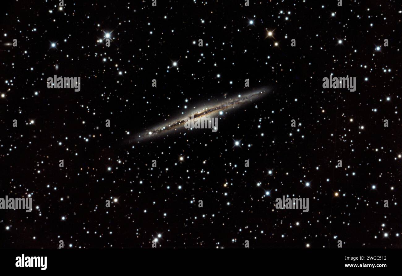 Galaxie (NGC891) im Sternbild Andromeda 14, 30 Millionen Lichtjahre entfernt, Spiralnebel, Andromedanebel, Universum, Staubwolken Stockfoto