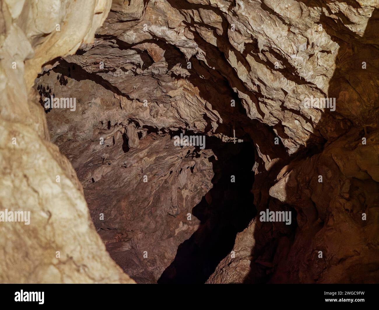 Höhle Las Güixas, Villanúa, Pyrenäen, Huesca, Aragonien, Spanien. Höhle, die in Villanua besucht werden kann Stockfoto