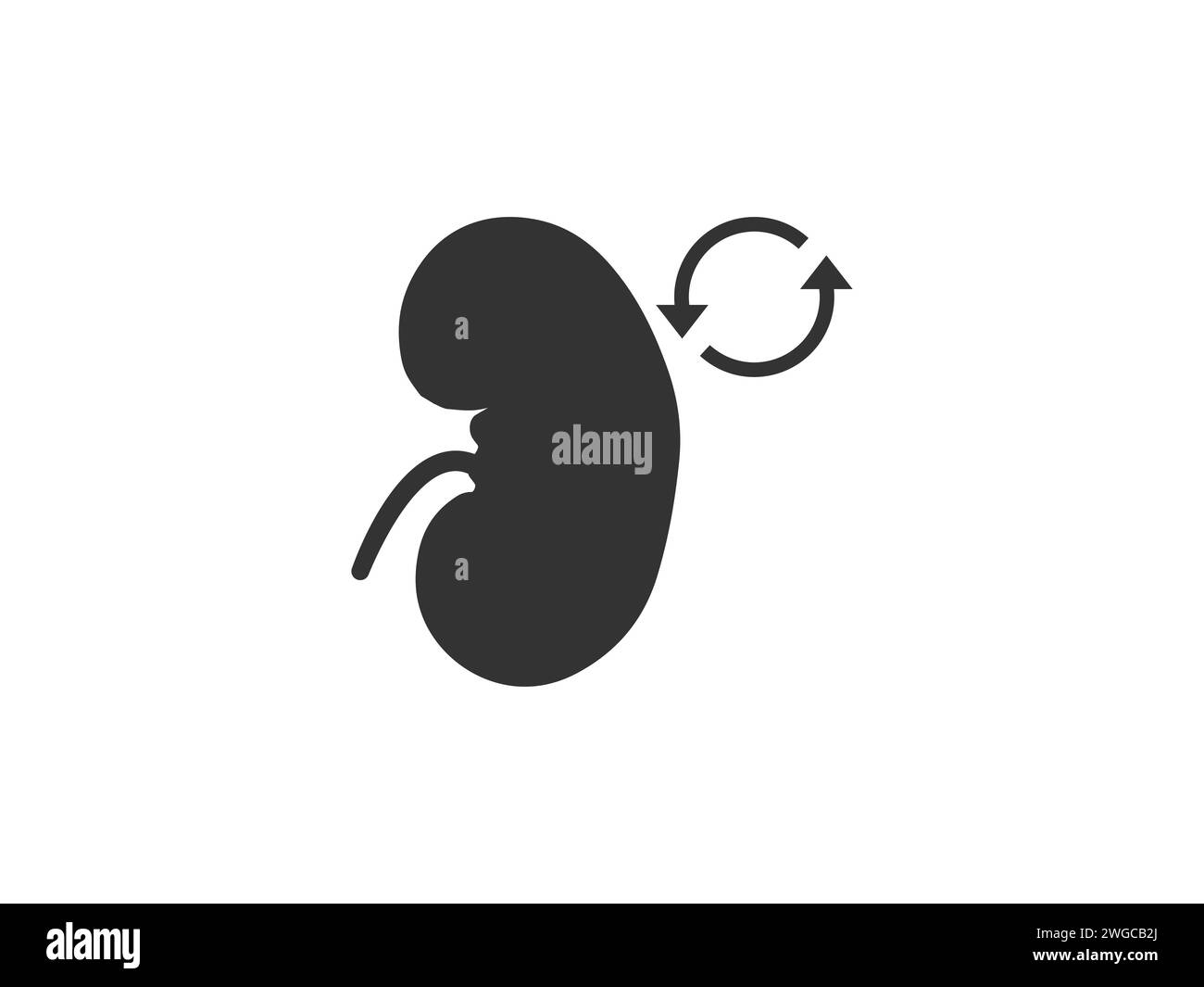 Symbol für Transplantationsniere. Vektorillustration. Stock Vektor