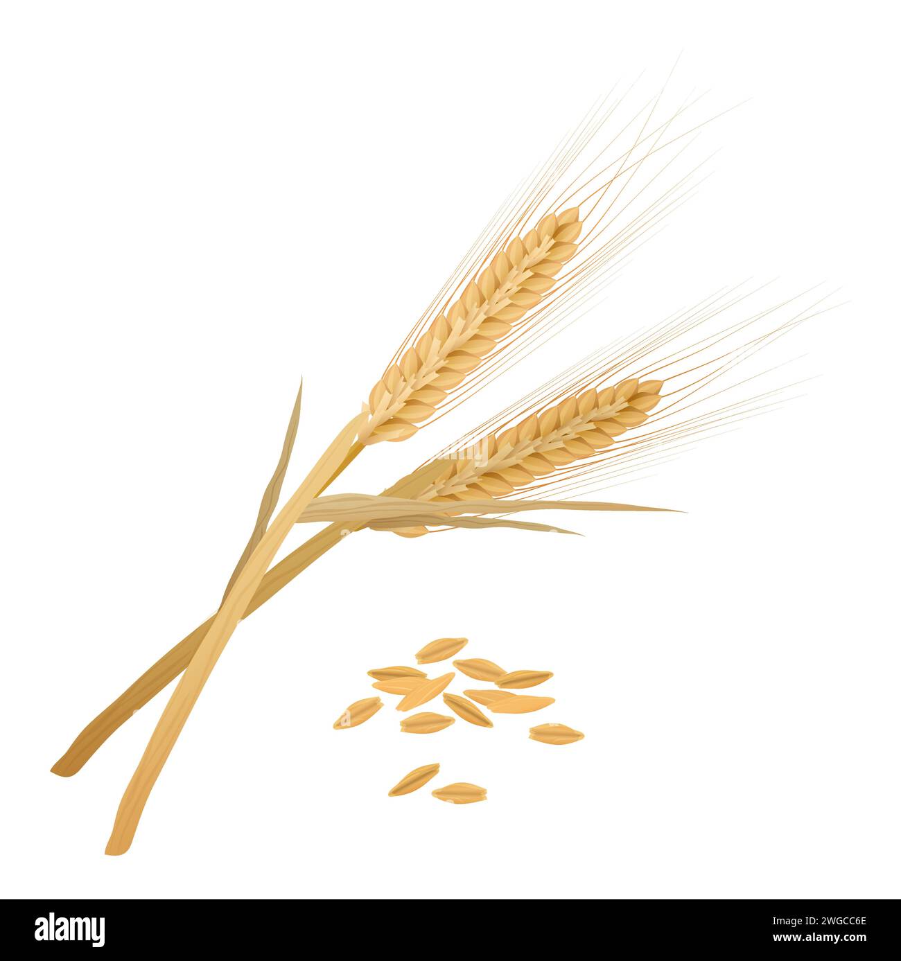 Gerstenohren Bunch mit gelbem biologischem reifem Getreide, Blatt auf Stielen Vektor-Illustration Stock Vektor