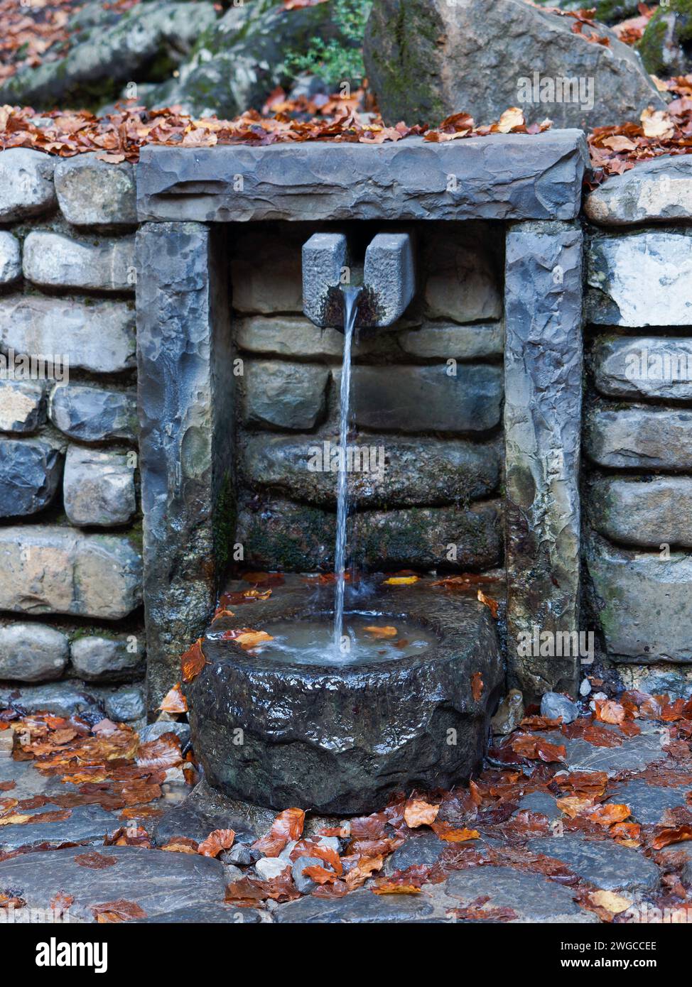 Podium aus Naturstein und Beton auf natürlichem grünem Hintergrund für leere Produktpräsentation. Der Hintergrund der kosmetischen Produkte, die Szene mit Gree. Stockfoto