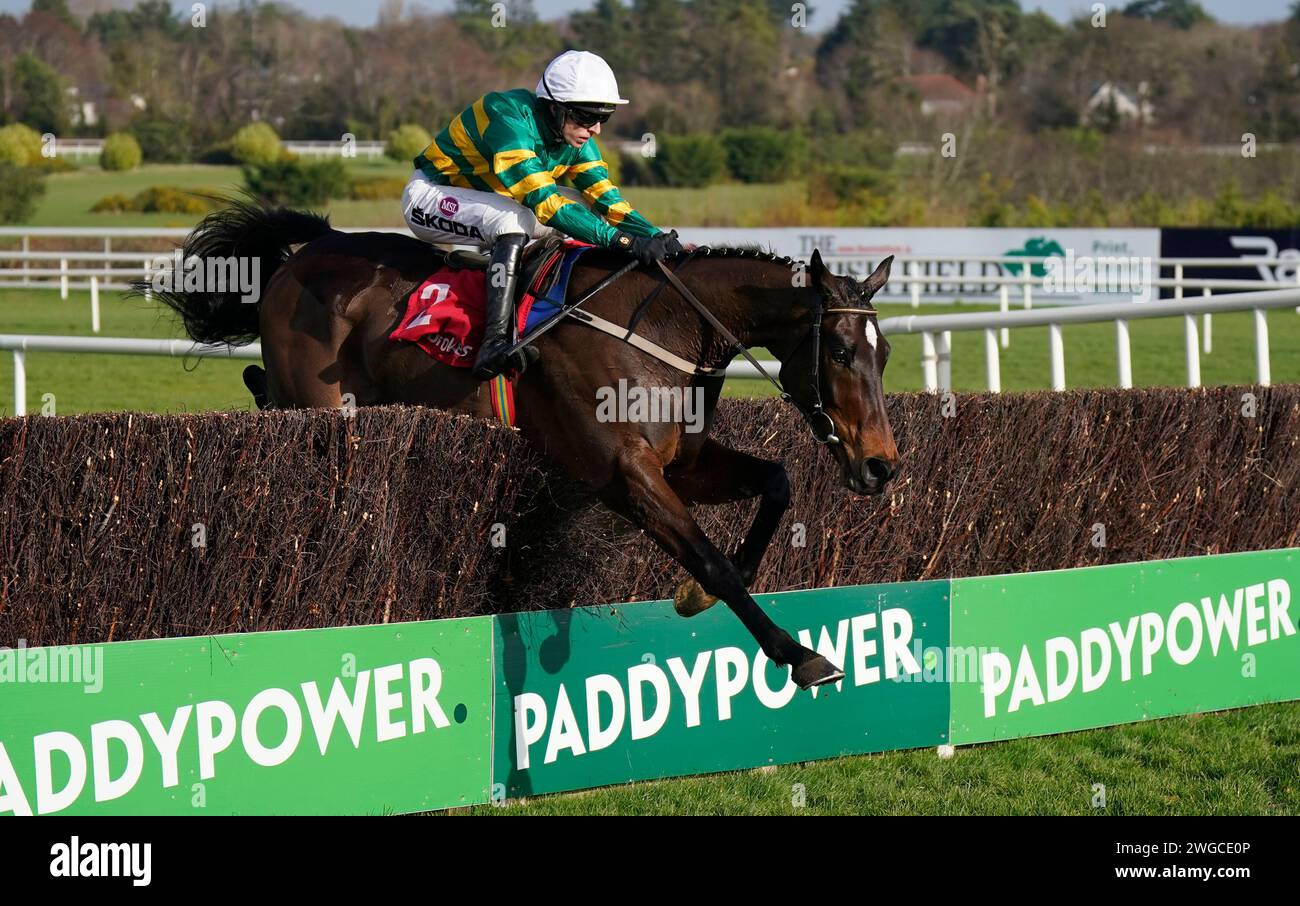 Fact To File, geritten von Mark Walsh, springt als letzter in die Ladbrokes Novice Steeplechase am zweiten Tag des Dublin Racing Festivals 2024 auf der Leopardstown Racecourse. Bilddatum: Sonntag, 4. Februar 2024. Stockfoto