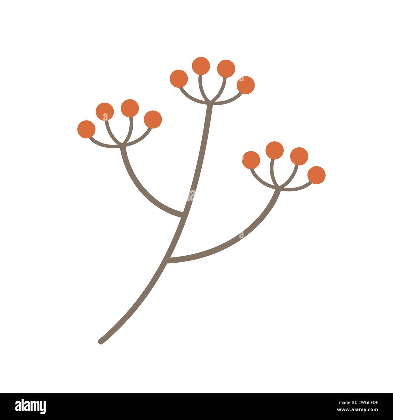 Waldzweig mit Beeren. Dekorative Pflanze, Tierwelt und Flora Vektor Illustration Stock Vektor