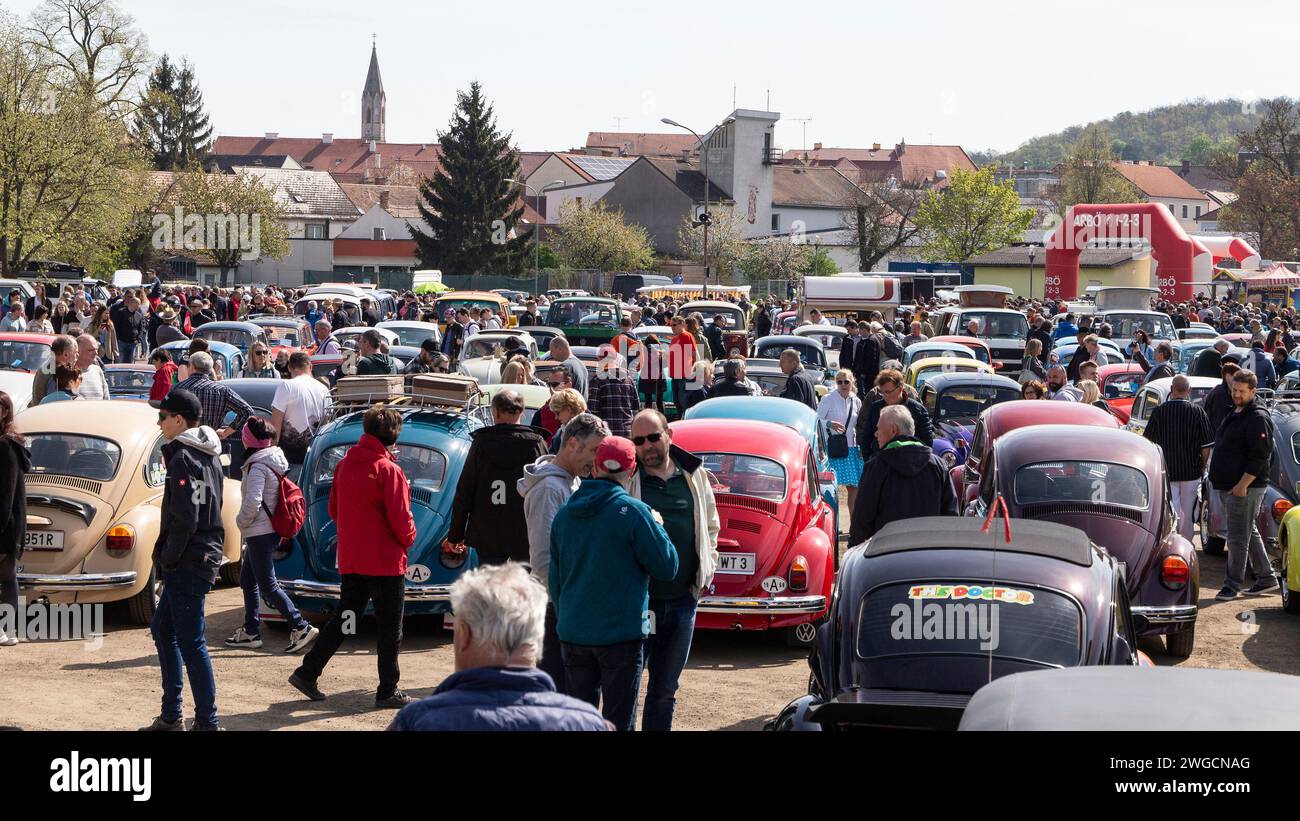 VW-Käfer-Treffen in Eggenburg, Österreich Stockfoto