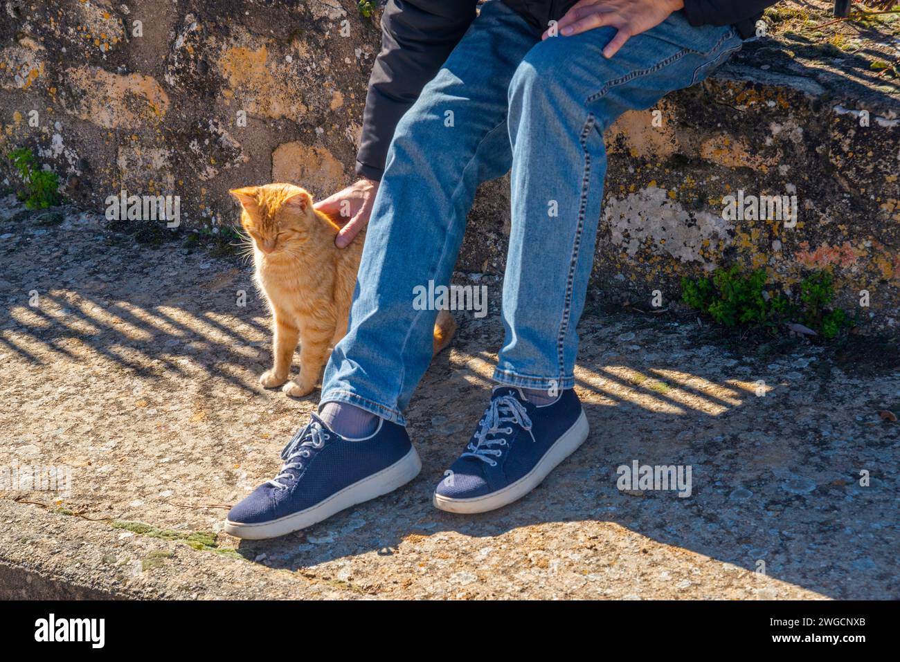 Mann und Katze auf der Straße. Stockfoto