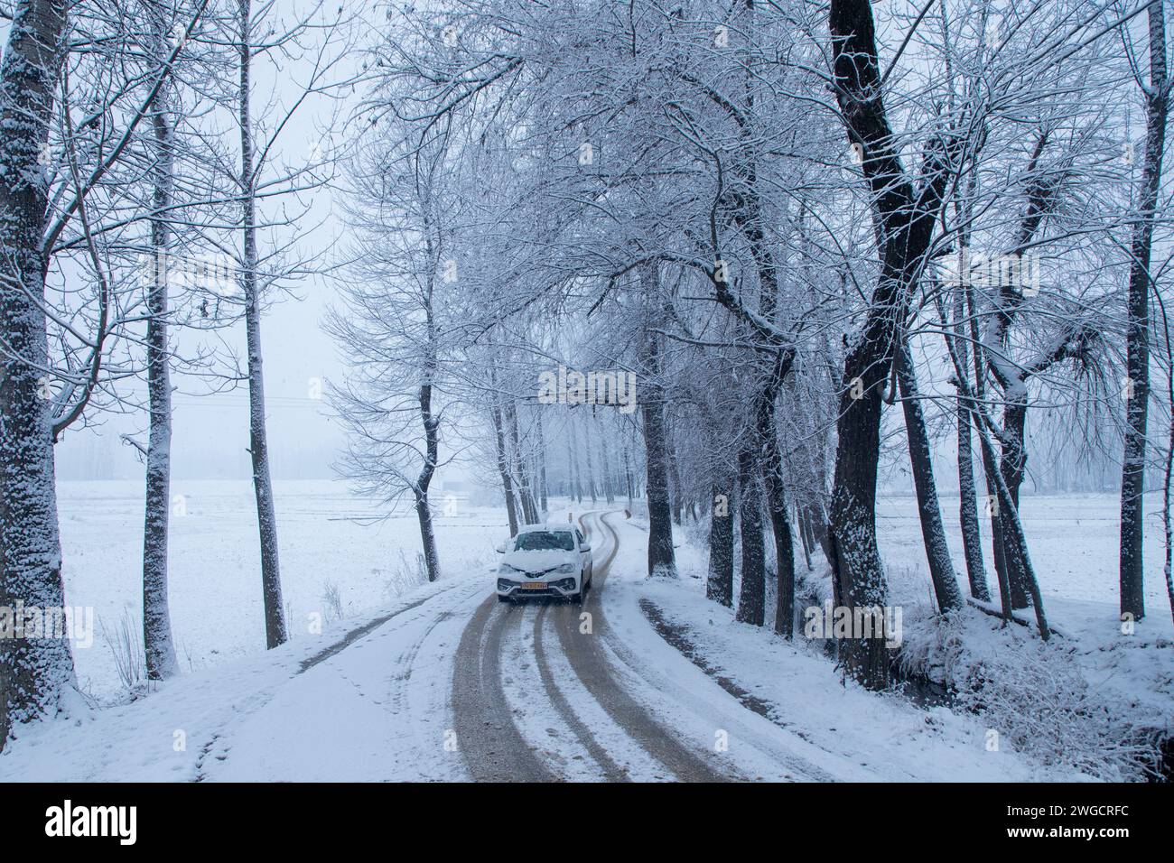 Ein Fahrzeug fährt auf einer schneebedeckten Straße in Srinagar bei frischem Schneefall. Mehrere Teile Kaschmirs, darunter auch die Stadt Srinagar, erhielten am Samstag Neuschnee, da die Wetterabteilung für die nächsten 48 Stunden mittelschweren bis starken Schneefall im Tal vorhersagte. Darüber hinaus haben die Behörden Lawinenwarnungen in hügeligen und bergigen Gebieten der Region ausgegeben. Stockfoto