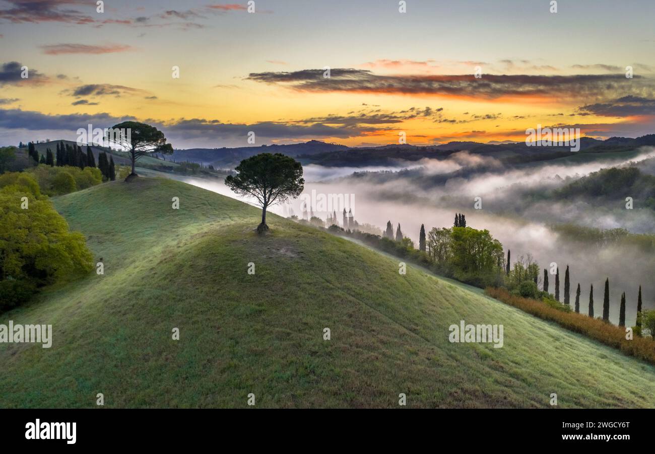 Traumhafte Landschaft mit sanften Hügeln, Zypressen und Morgennebel bei Sonnenaufgang in der Toskana, Italien, April. Stockfoto