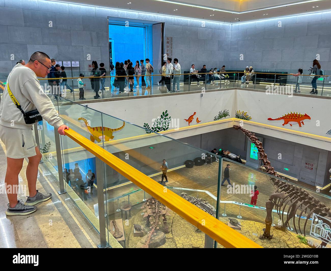 Suzhou, China, große Menschenmengen, chinesische Touristen besuchen, Archäologie, Ausstellung, Stadtprojekt, Suzhou Museum West », Dinosaurier Stockfoto