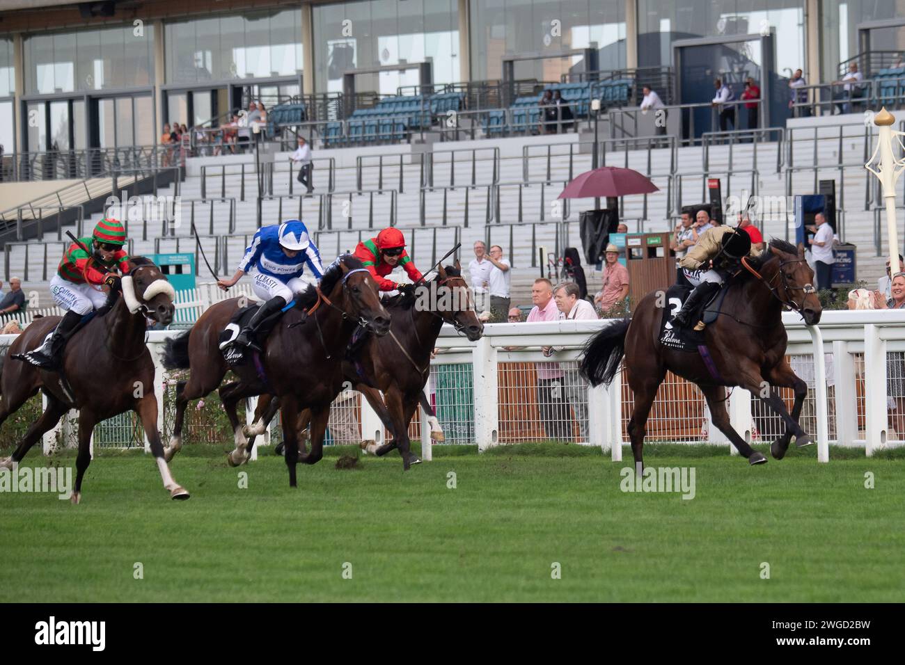 Ascot, Großbritannien. September 2024. Horse Ouzo (Nr. 3), geritten von Jockey Saffie Osborne (braune Seide) auf der Ascot Racecourse, gewinnt die Palmer & Co Champagne Handicap Stakes in toter Hitze mit Pferd Daysovierlife (Nr. 6) beim Freitag-Rennen-Meeting im September. Eigentümer Des Anderen Clubs. Trainer Jamie Osborne, Upper Lambourn. Breeder Equine Breeding Limited. Kredit: Maureen McLean/Alamy Stockfoto