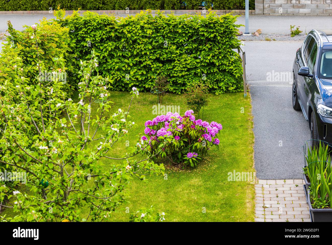 Wunderschöner Blick auf einen Garten mit blühenden Blumen und ein Auto, das an einem warmen Frühlingstag auf dem Parkplatz einer privaten Villa parkt. Schweden. Stockfoto