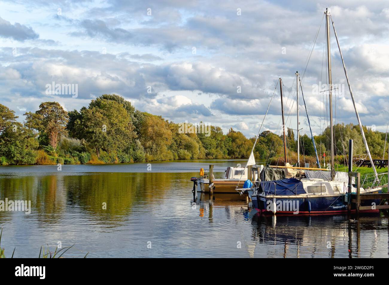 An einem ruhigen und farbenfrohen Herbsttag auf der Themse in Shepperton liegt Surrey England UK Stockfoto