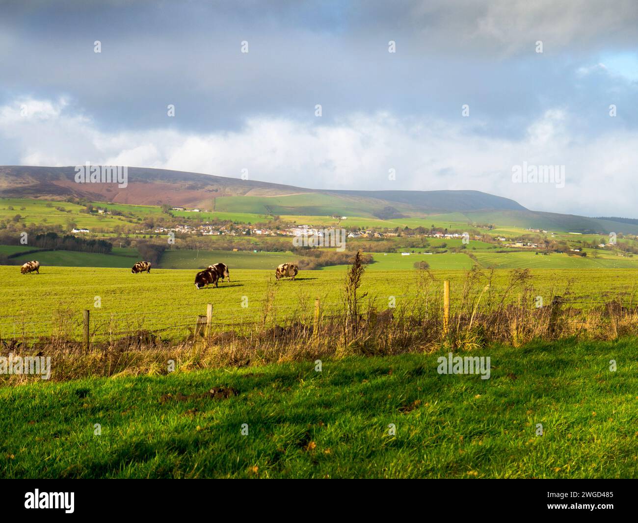 Das Land um Pendle Hill in Lancashire England 1612 wurden 13 Menschen der Hexerei beschuldigt. 10 wurden gehängt, einer starb im Gefängnis und einer wurde an den Pranger gestellt Stockfoto