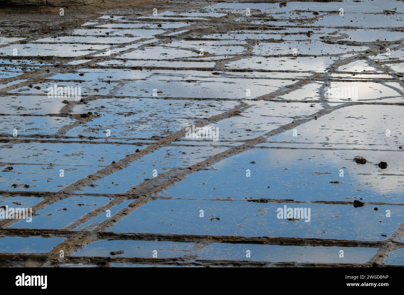 Tessellierter Bürgersteig, in Pirates Bay, Tasmanien. Eine erodierte Meeresplattform aus permischem Siltstein. Stockfoto