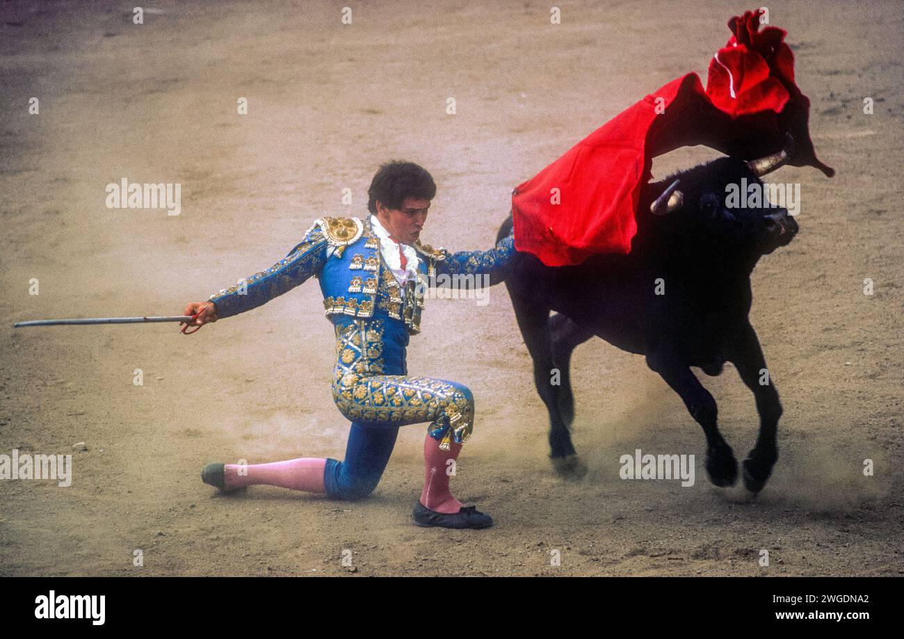 Ein Matador arbeitet seinen Stier auf der Americana Stierkampfarena in Nogales, Mexiko Stockfoto