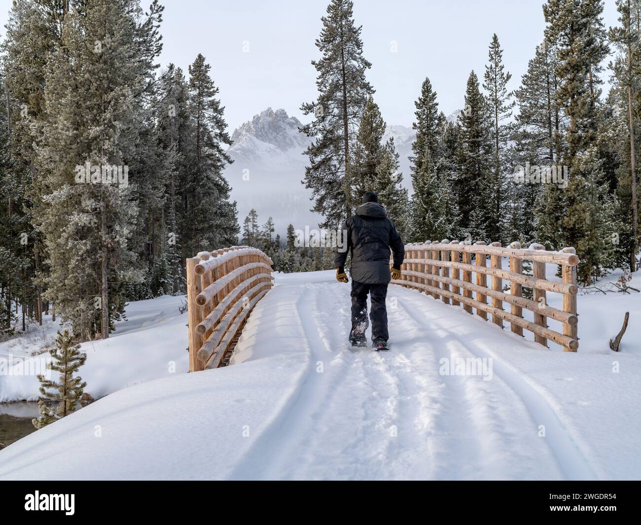 Bergwald und Schneeschuhfahrer überqueren eine abgelegene Brücke Stockfoto