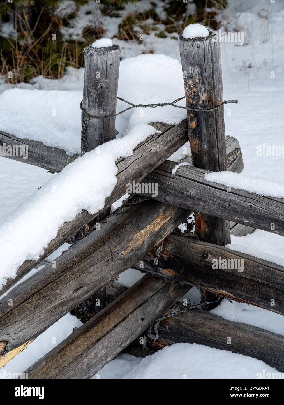 Kalte Show auf einem Holzzaun in der Wildnis Stockfoto
