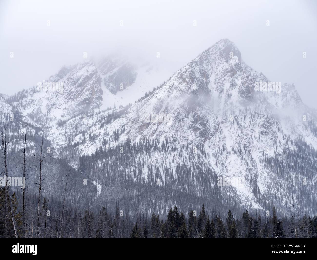 Wunderschöne Sawtooth Mountains in Idaho im Winter Stockfoto