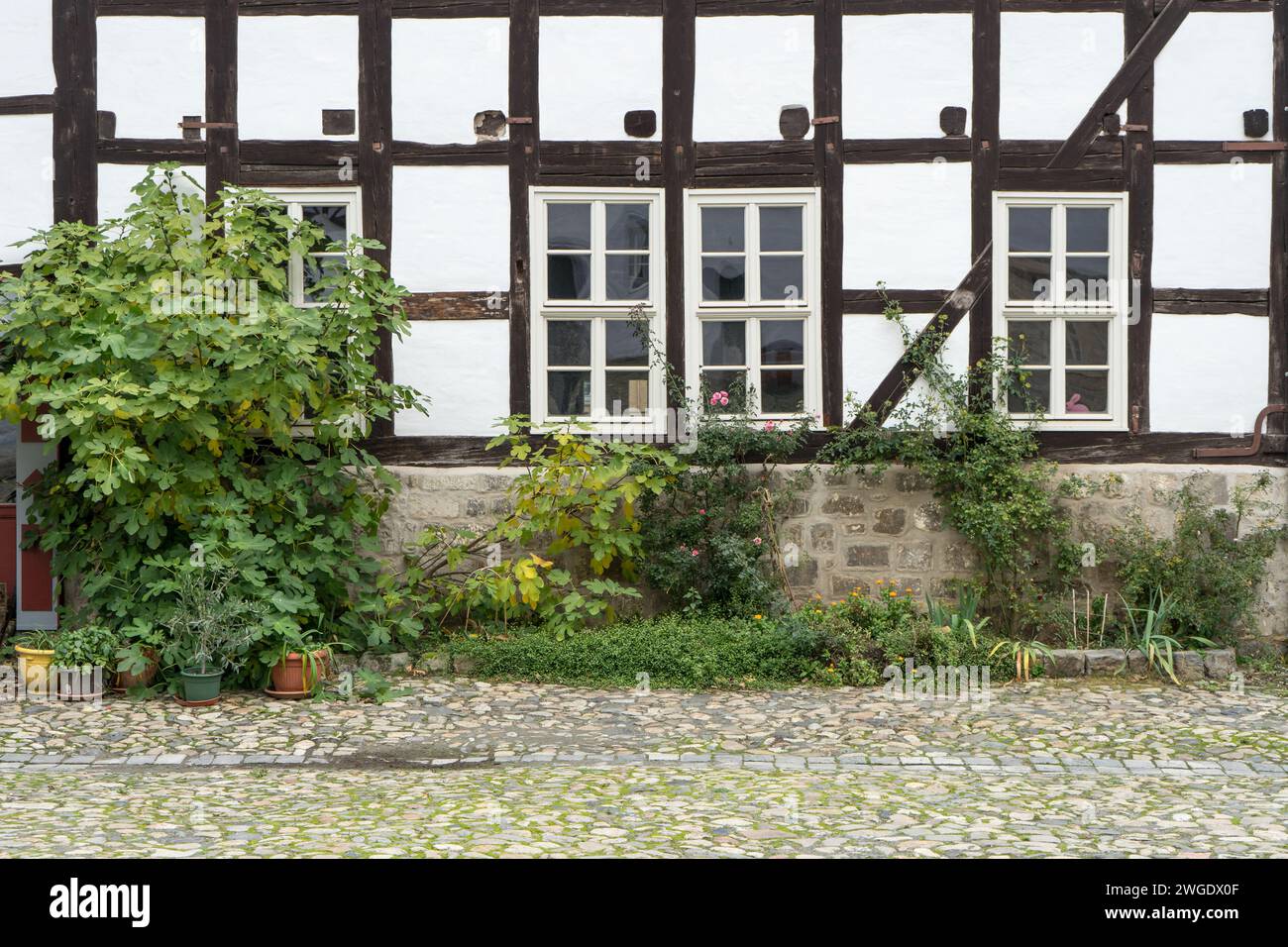 Fassade eines Fachwerkhauses in Quedlinburg, Sachsen-Anhalt Stockfoto