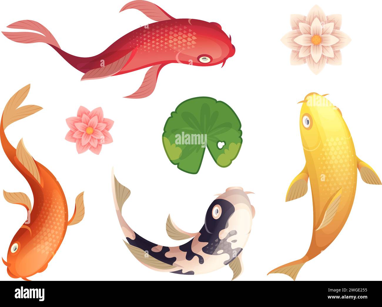 Koi-Fisch. Asiatische authentische schwimmende Tier Top View exakte Vektor-Wasservorlage im Cartoon-Stil Stock Vektor