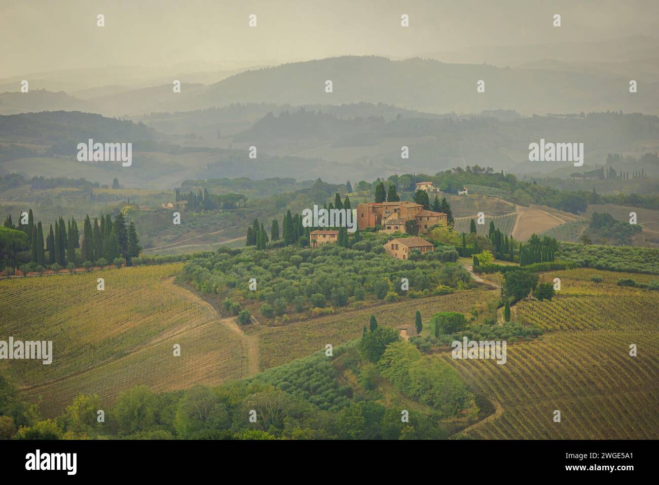 Toskanische Landschaft mit Weinbergen auf Hügeln, die wie ein altes Gemälde aussehen. Foto aufgenommen am 24. Oktober 2023 in San Gimignano, Val d’Orcia, region Toskana Stockfoto