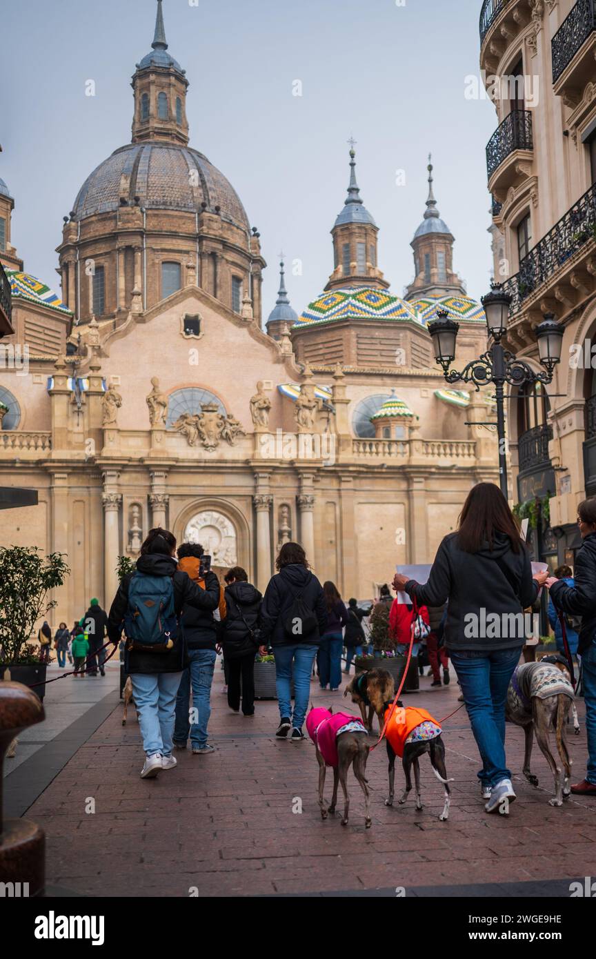 Tausende von Menschen demonstrieren in Spanien, um ein Ende der Jagd mit Hunden zu fordern, Saragossa, Spanien Stockfoto