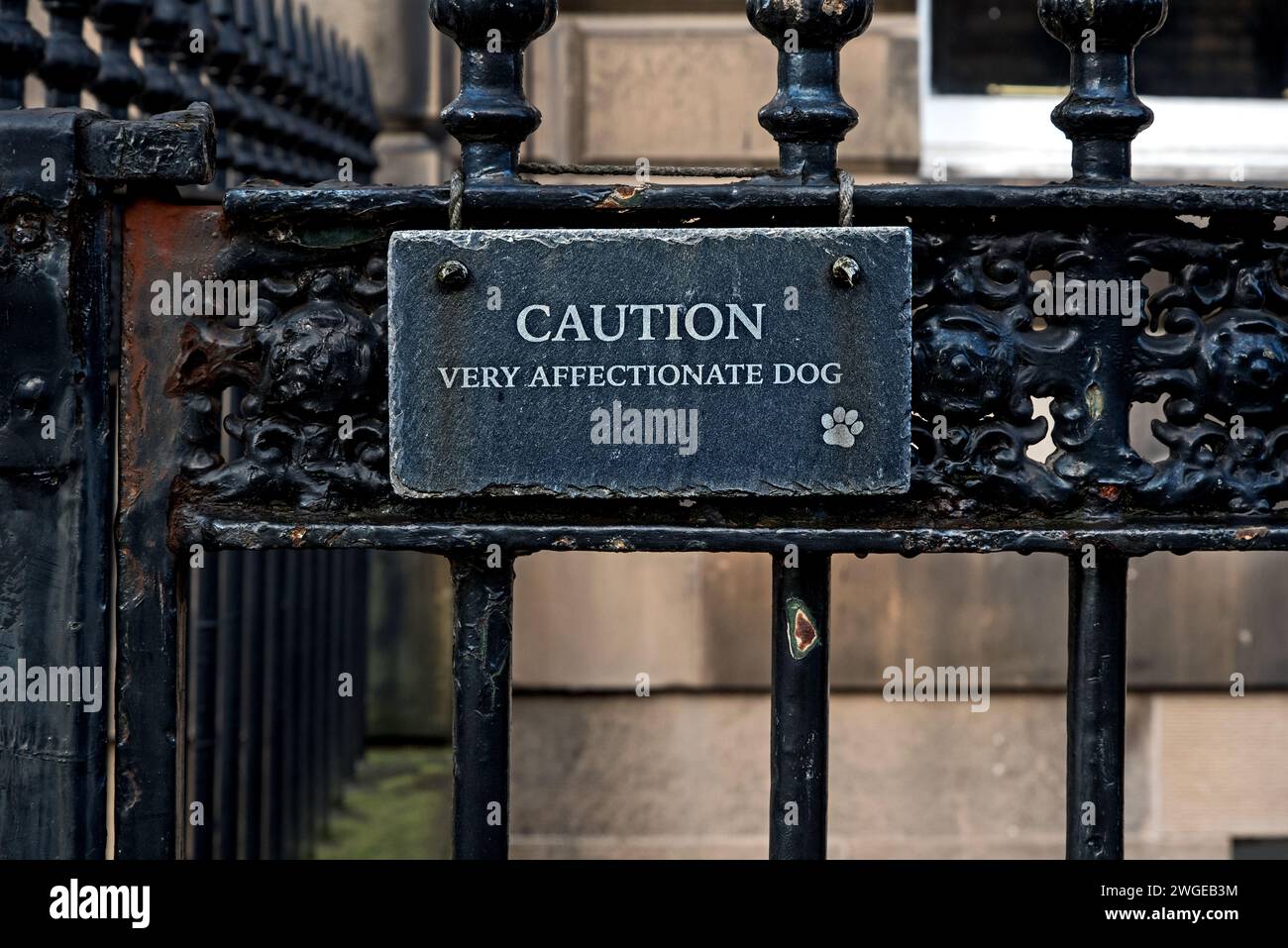 Humorvolles Schild mit der Aufschrift „Vorsicht sehr liebevoller Hund“ an einem Tor im West End von Edinburgh. Stockfoto