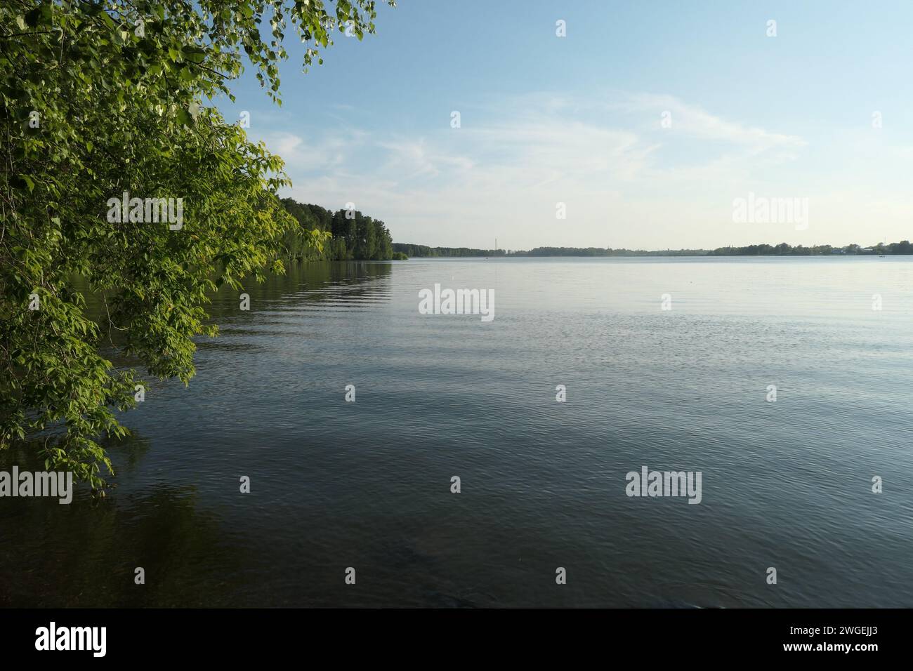 Sommerlandschaft mit Grün und ruhigem Wasser des Sees Stockfoto