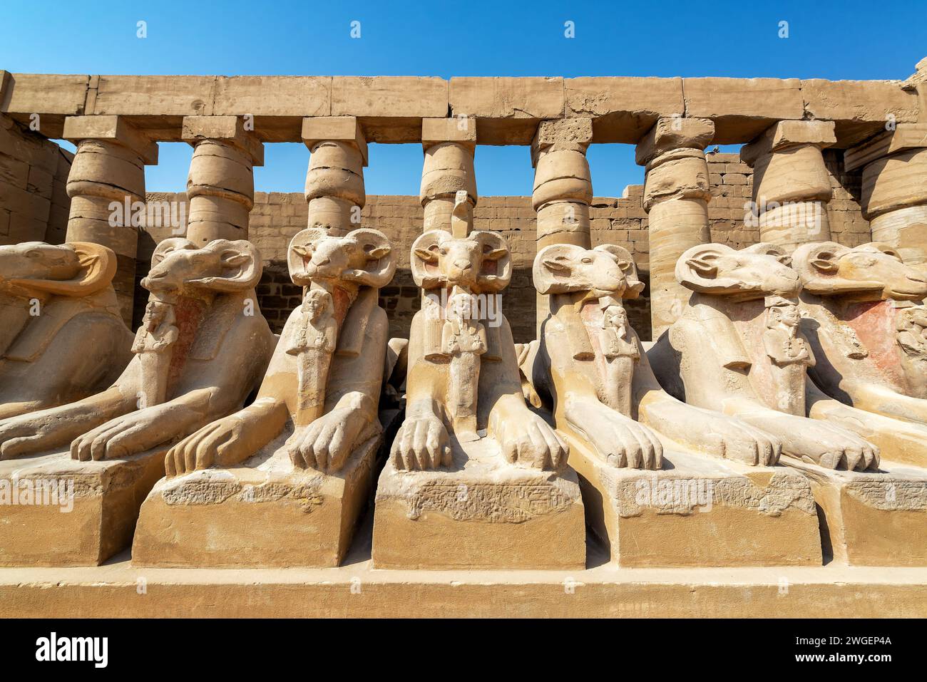 Reihe von Widdersphinxen im Karnak-Tempel in Luxor, Ägypten Stockfoto