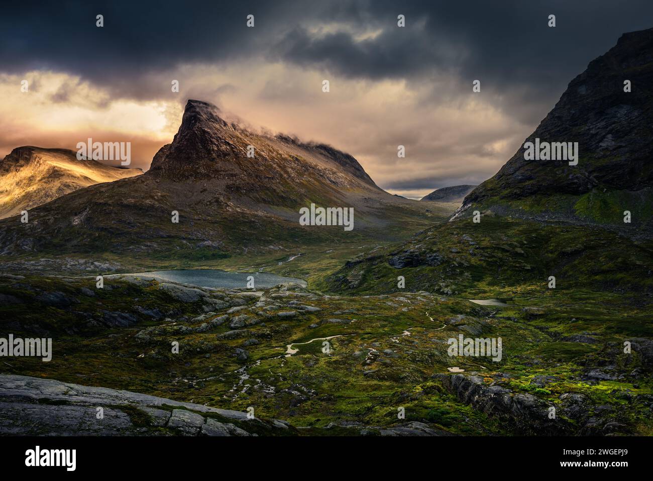 Norwegen Landschaft - schöne Aussicht von der Straße 63 Stockfoto