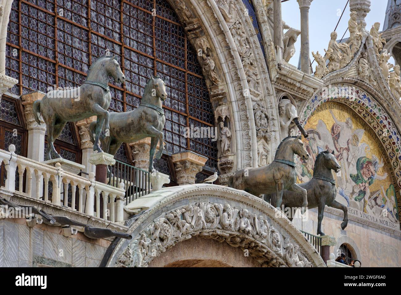 Bronzepferde der Markuskirche Fassade in Venedig Italien Stockfoto