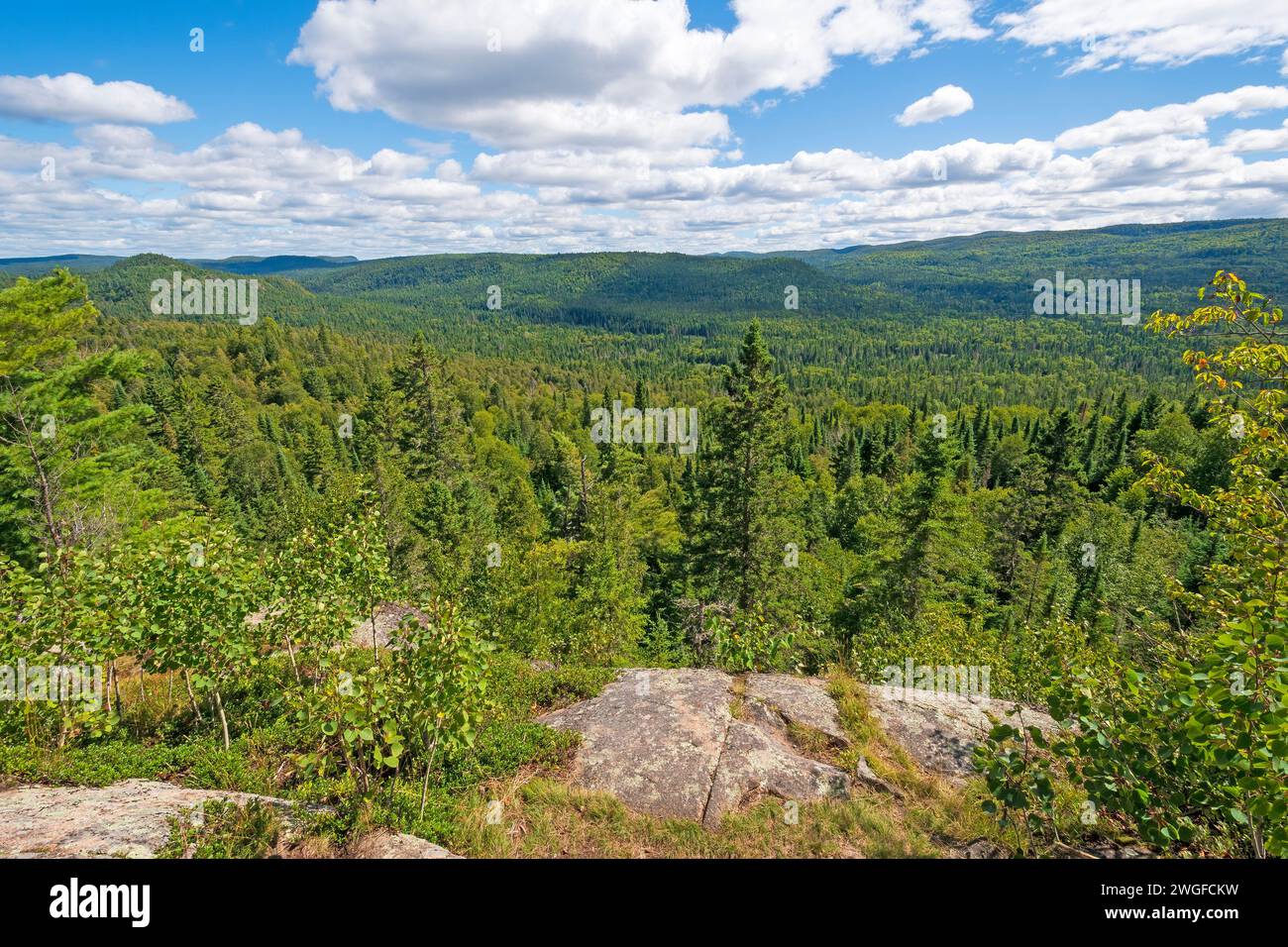 North Woods Panorama entlang des Nokomis Trail im Lake Superior Provincial Park in Ontario Stockfoto