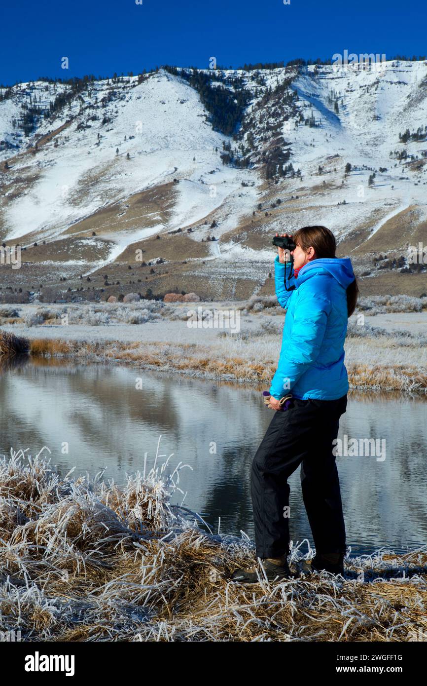 Vogelbeobachtung am Ana River zum Winter Rim, Summer Lake Wildlife Area, Oregon Outback Scenic Byway, Oregon Stockfoto