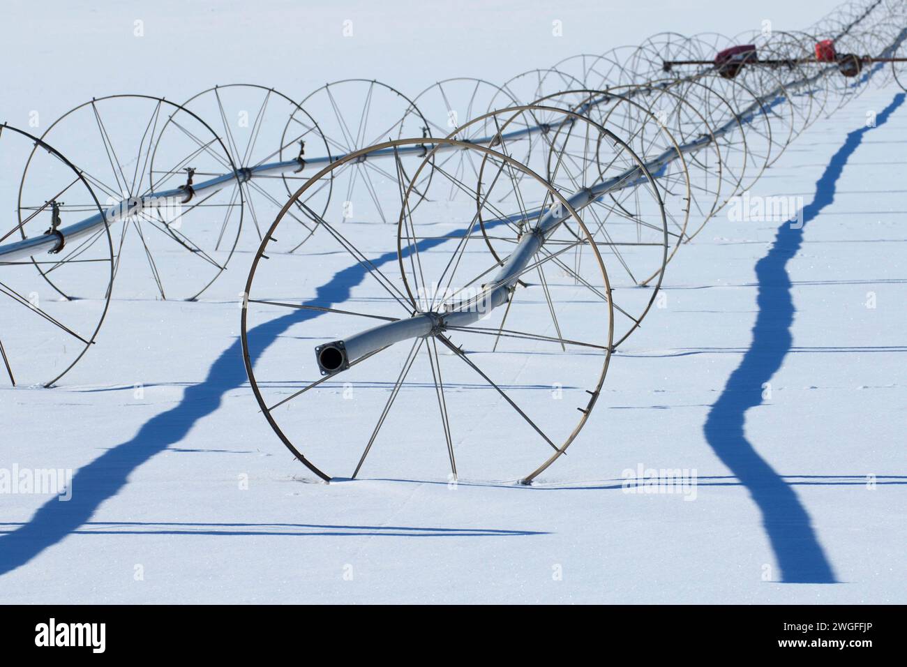 Bewässerungsrohr auf Schnee, Oregon Outback Scenic Byway, Oregon Stockfoto