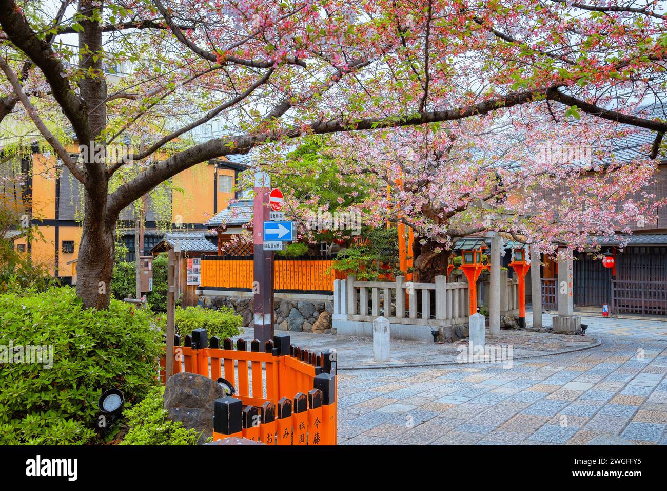 Kyoto, Japan - 6. April 2023: Die Tatsumi-Bashi-Brücke ist der berühmte Ort des Stadtteils Gion. Es ist eine kleine Brücke, die den Fluss Shirakawa überquert Stockfoto