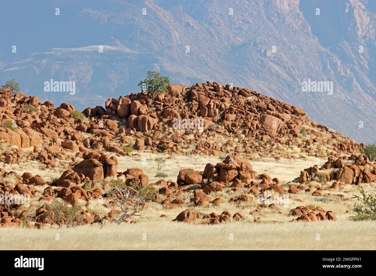 Malerische Wüstenlandschaft mit Felsen und trockenem Grasland, Brandberg, Namibia Stockfoto
