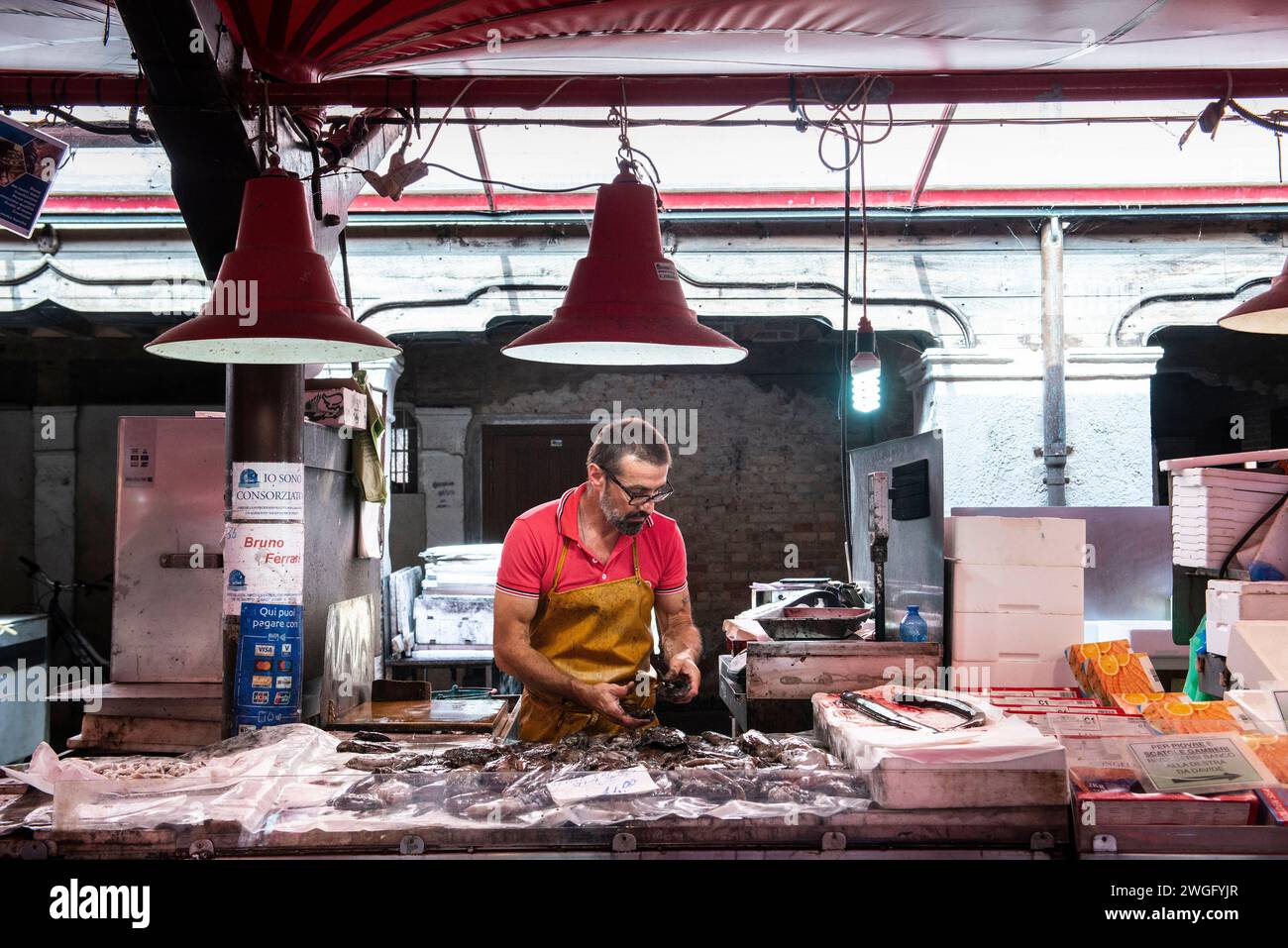 Der Fischmarkt von Chioggia, in der Lagune von Venedig, Italien Stockfoto