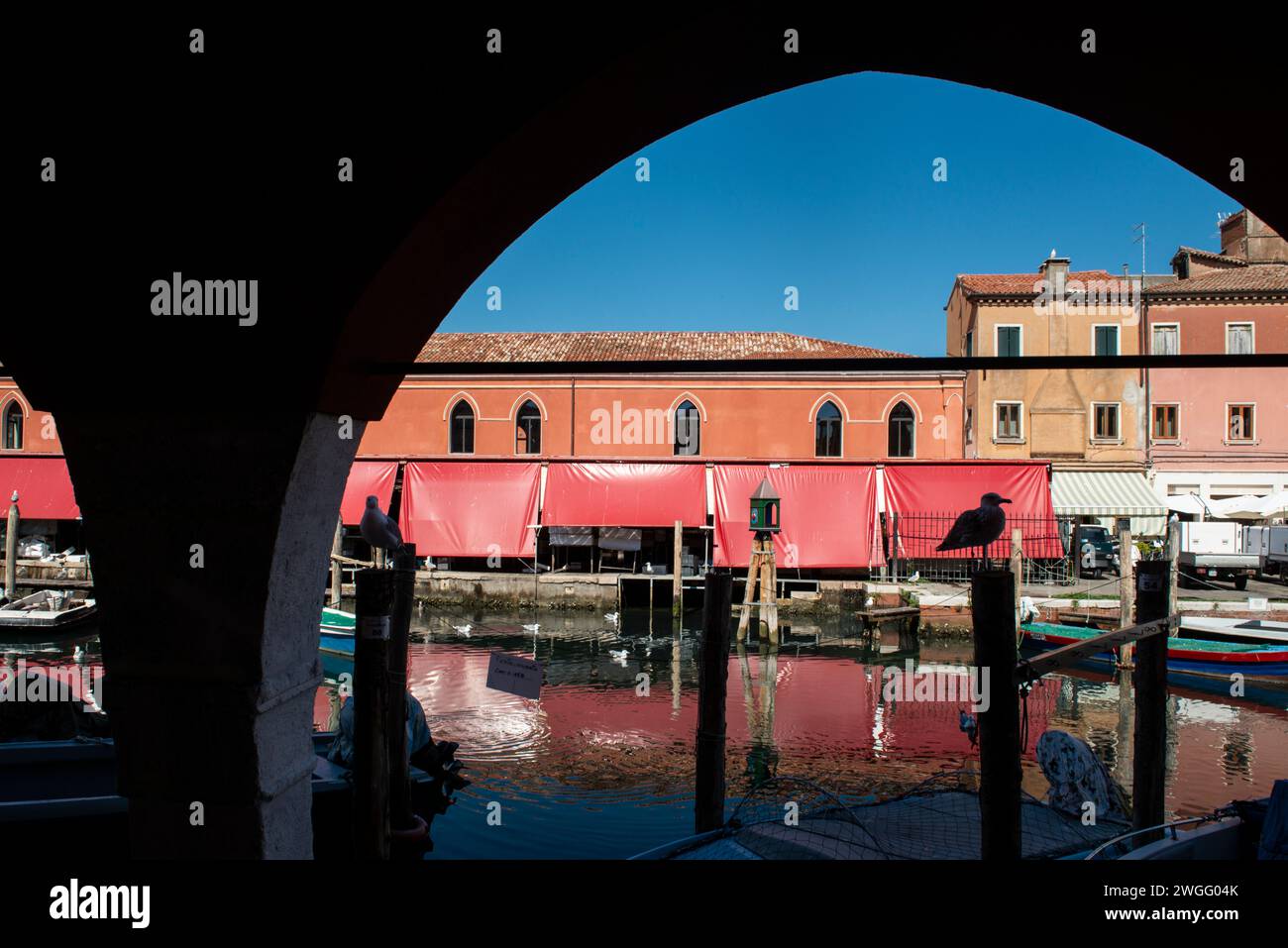 Der Fischmarkt von Chioggia, in der Lagune von Venedig, Italien Stockfoto