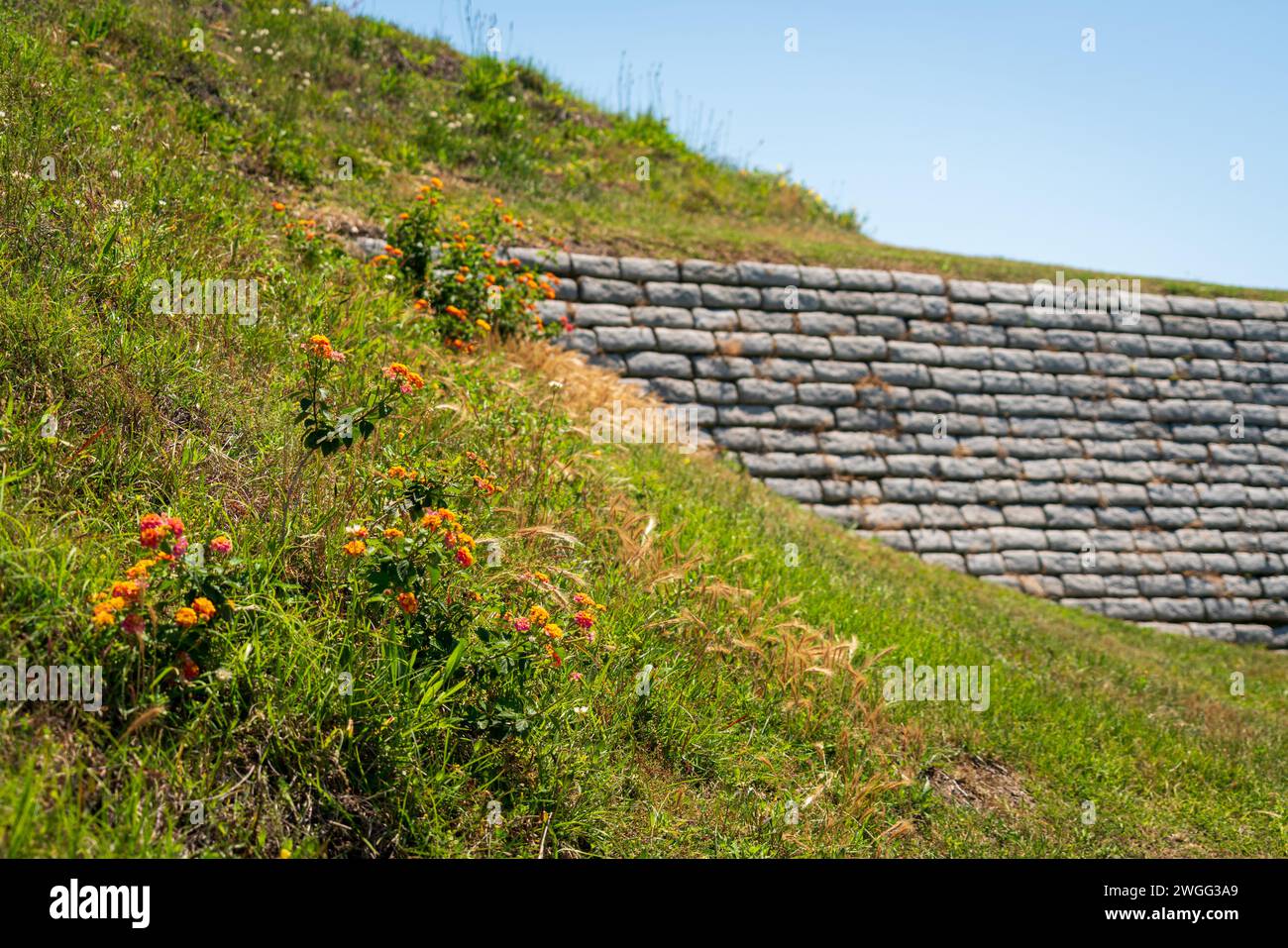Fort Moultrie, kleine Befestigungsanlagen und Munitionsbunker, die entlang der Küste von Sullivan's Island in South Carolina, USA, verlaufen Stockfoto