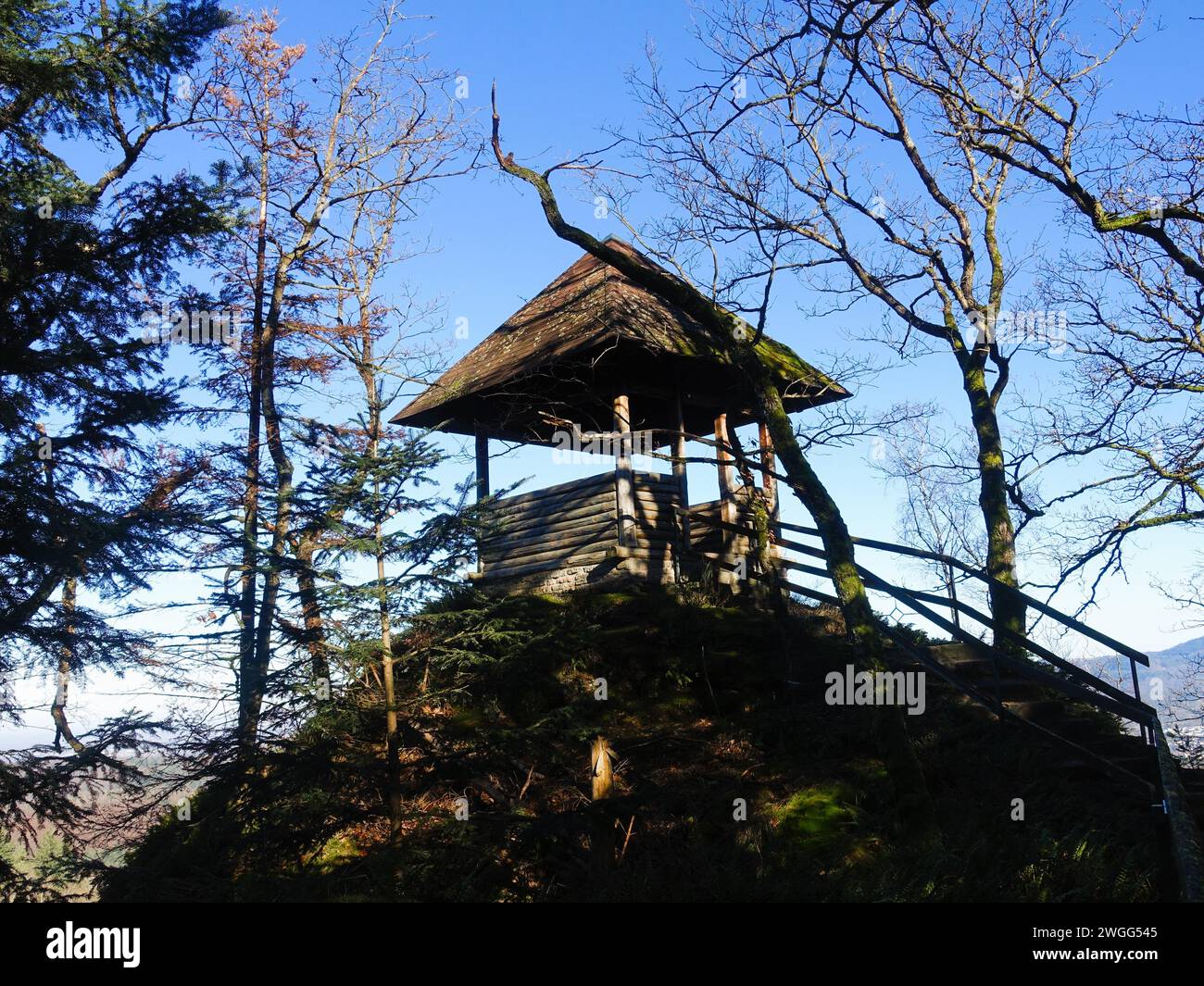 Eine einsame Hütte auf einem Hügel, eingebettet in eine ruhige Waldlandschaft. Stockfoto